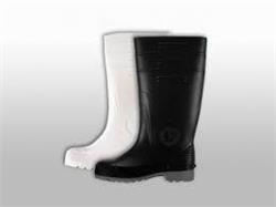 PH ELITE INT EXCELLENCE DH X 250